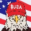 USA图标